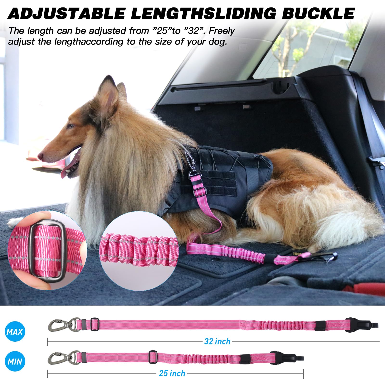 AUBELL comparaison taille avec chien montre ajustabilité et portée