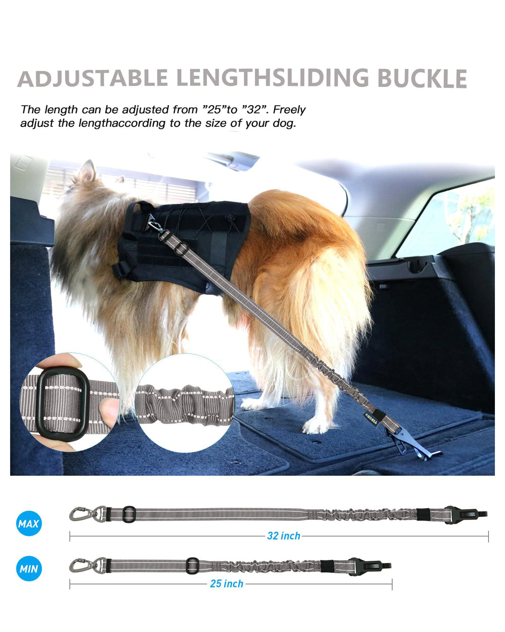 AUBELL comparaison d'échelle montrant taille réglable et adaptabilité au chien