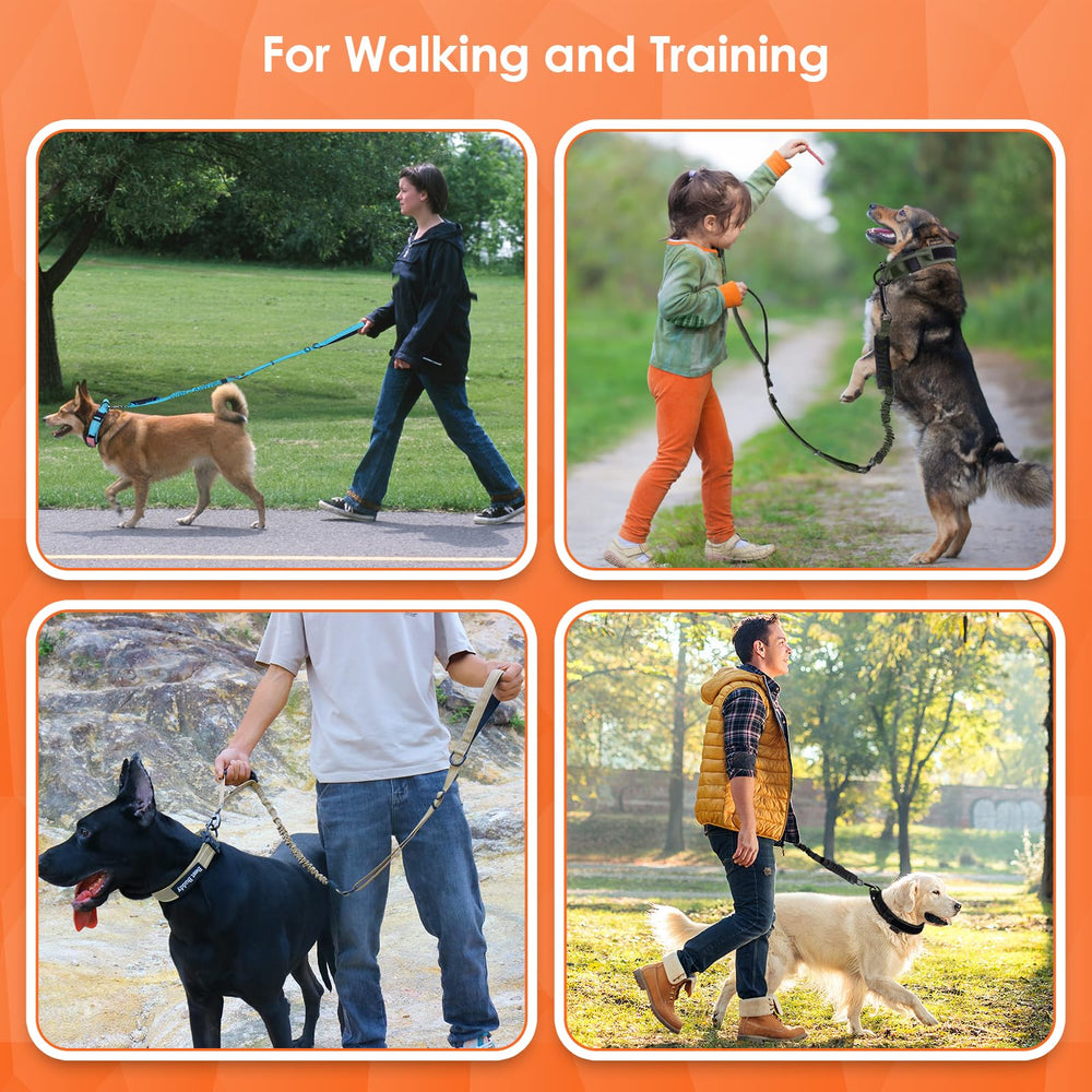 AUBELL comparaison d'échelle montrant longueur 4–6 ft adaptée aux chiens