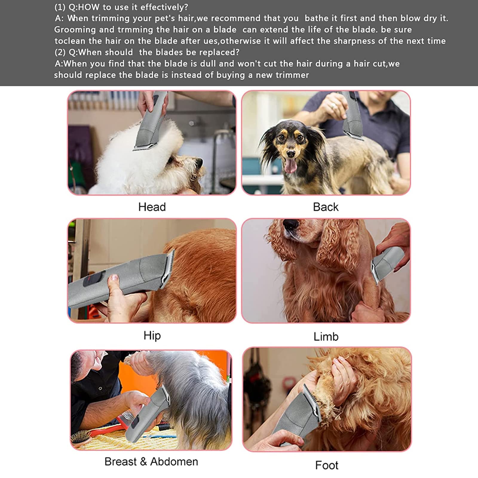Scène salon : lame Audoc 4FC sur table de toilettage, professionnelle et adaptée aux animaux