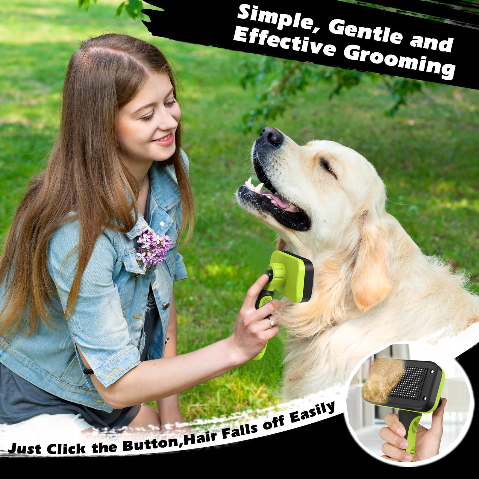 Augwind kit en usage sur chien illustrant brossage confortable et contrôlé