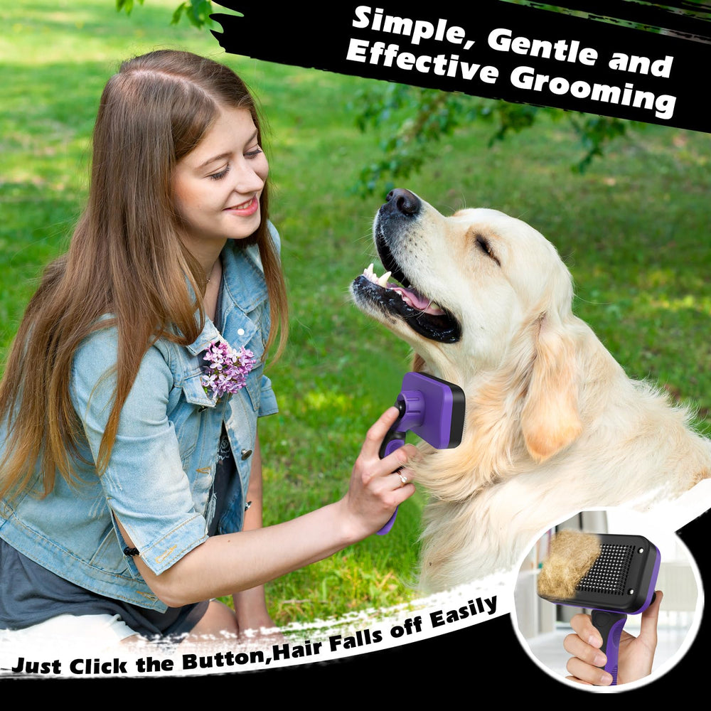 Augwind outils en usage sur chien montrant efficacité et confort