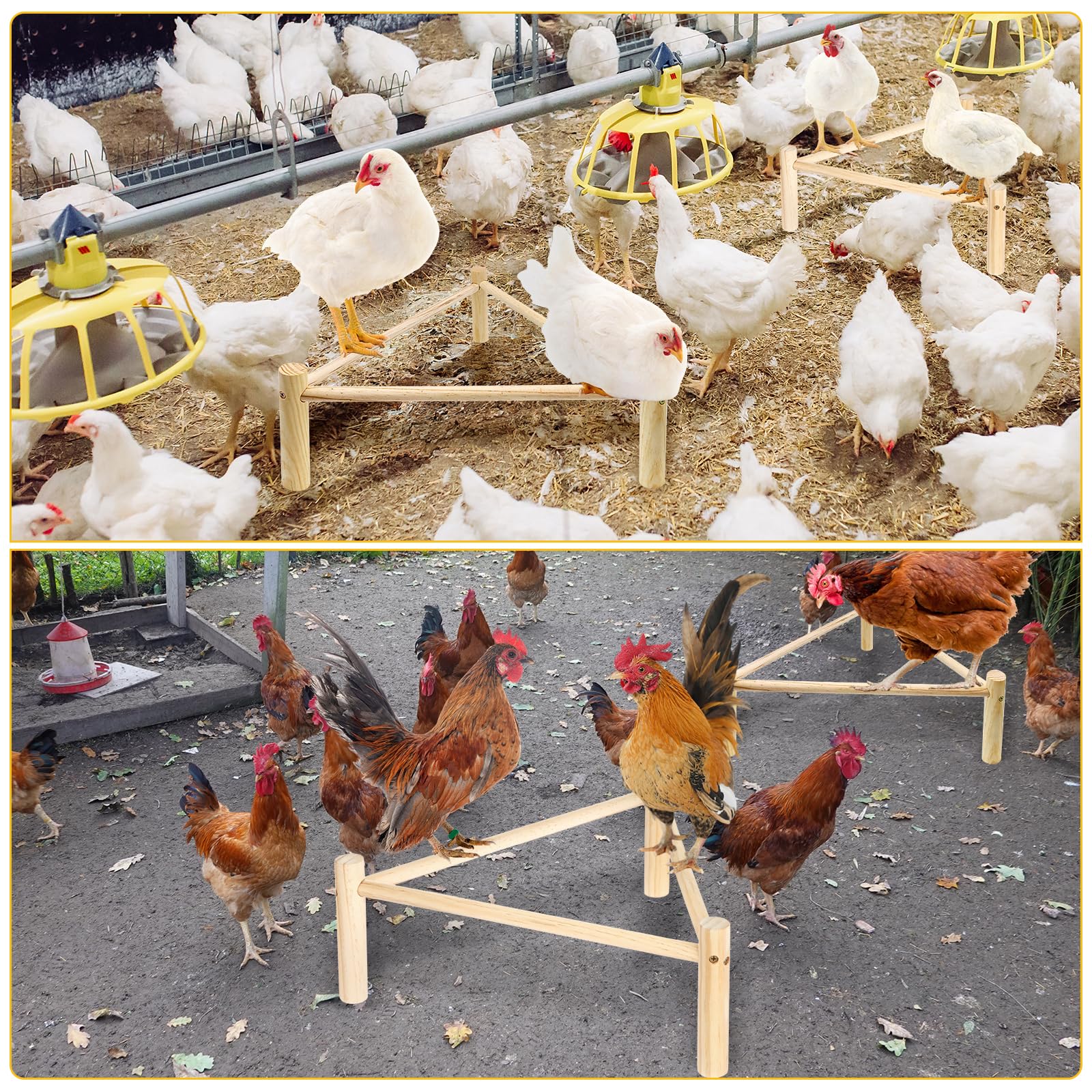 Auliand perchoir installé dans un poulailler, stabilité et repos pour les poules