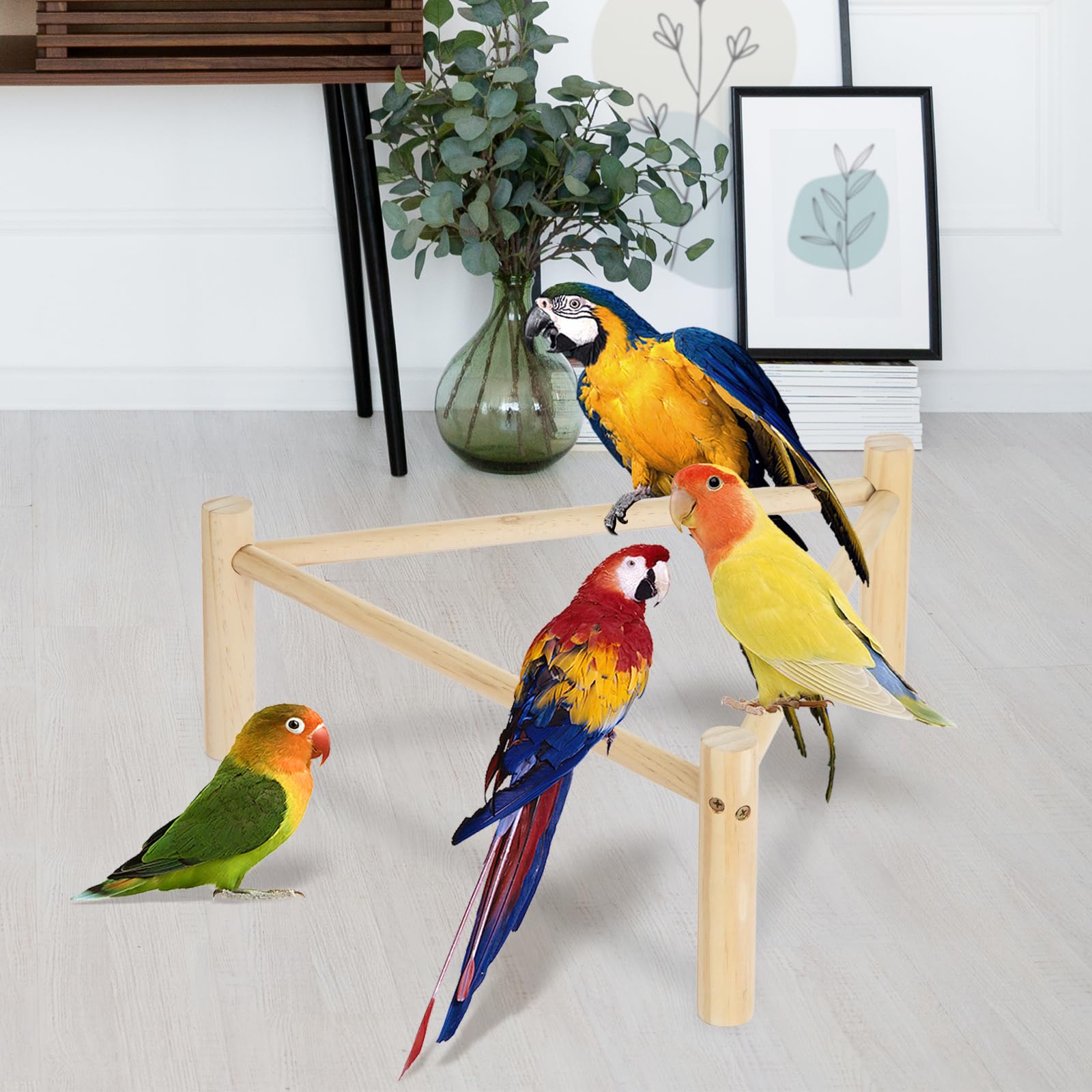 Auliand perchoir avec un perroquet perché, favorise le repos et le jeu