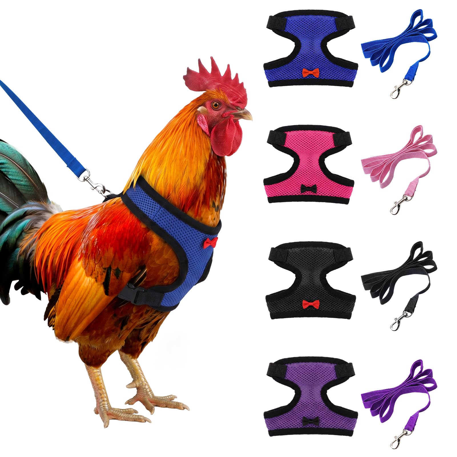 Aulock emballage avant montrant le lot de 4 harnais et laisses, pratique