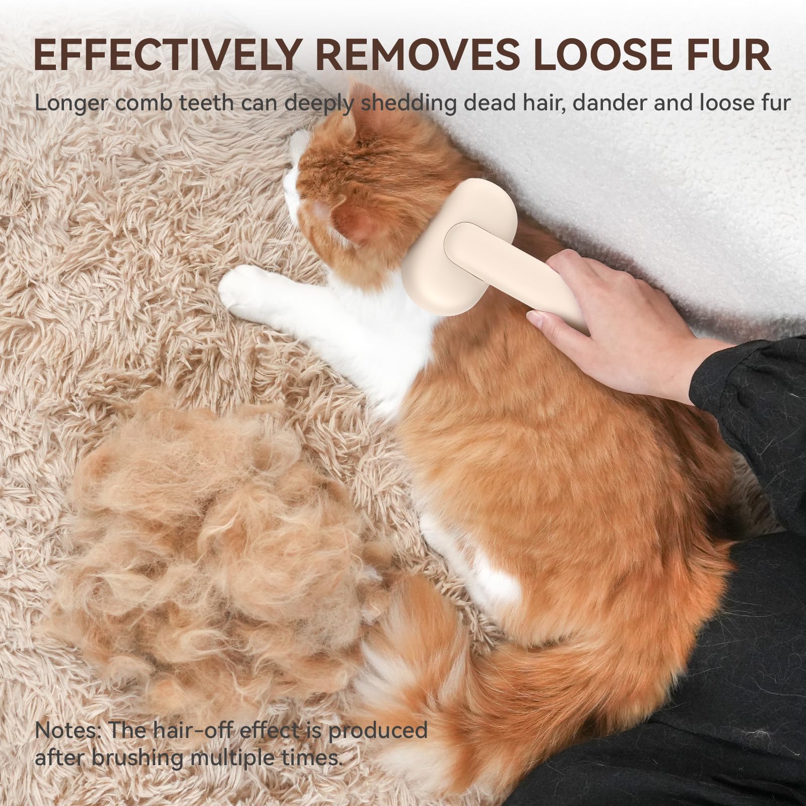 Aumuca kit de toilettage présentant brosse et accessoires pour entretien complet