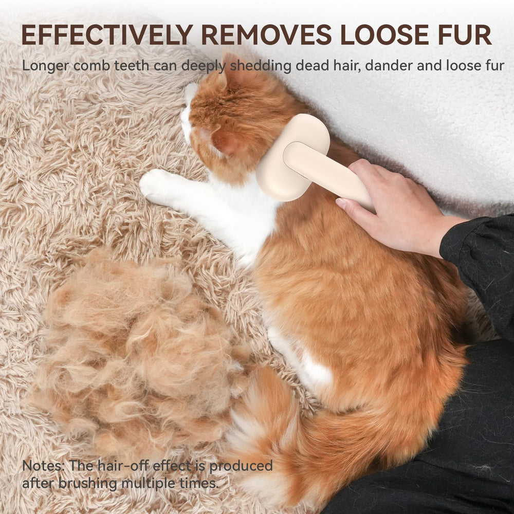 Aumuca kit de toilettage présentant brosse et accessoires pour entretien complet