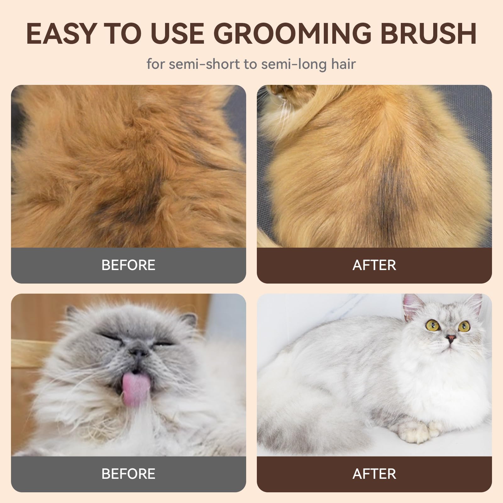 Aumuca brosse taille comparée à main pour visualiser échelle et couverture