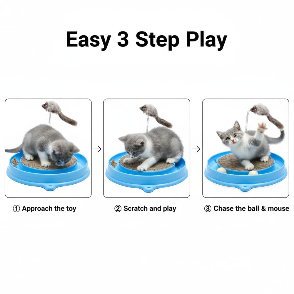 AUOON piste à bille en mouvement encourage activité physique du chat