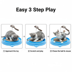 AUOON piste à bille en mouvement encourage activité physique du chat