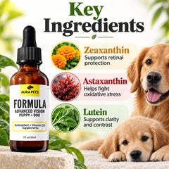 Zoom sur l’étiquette Aura Pets pour vérifier ingrédients clés