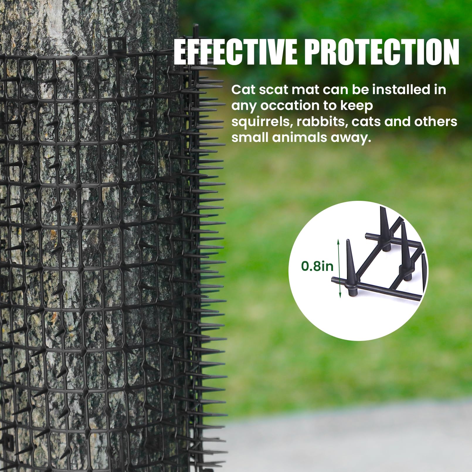 Aurnoet tapis enroulé autour d’un arbre protégeant l’écorce