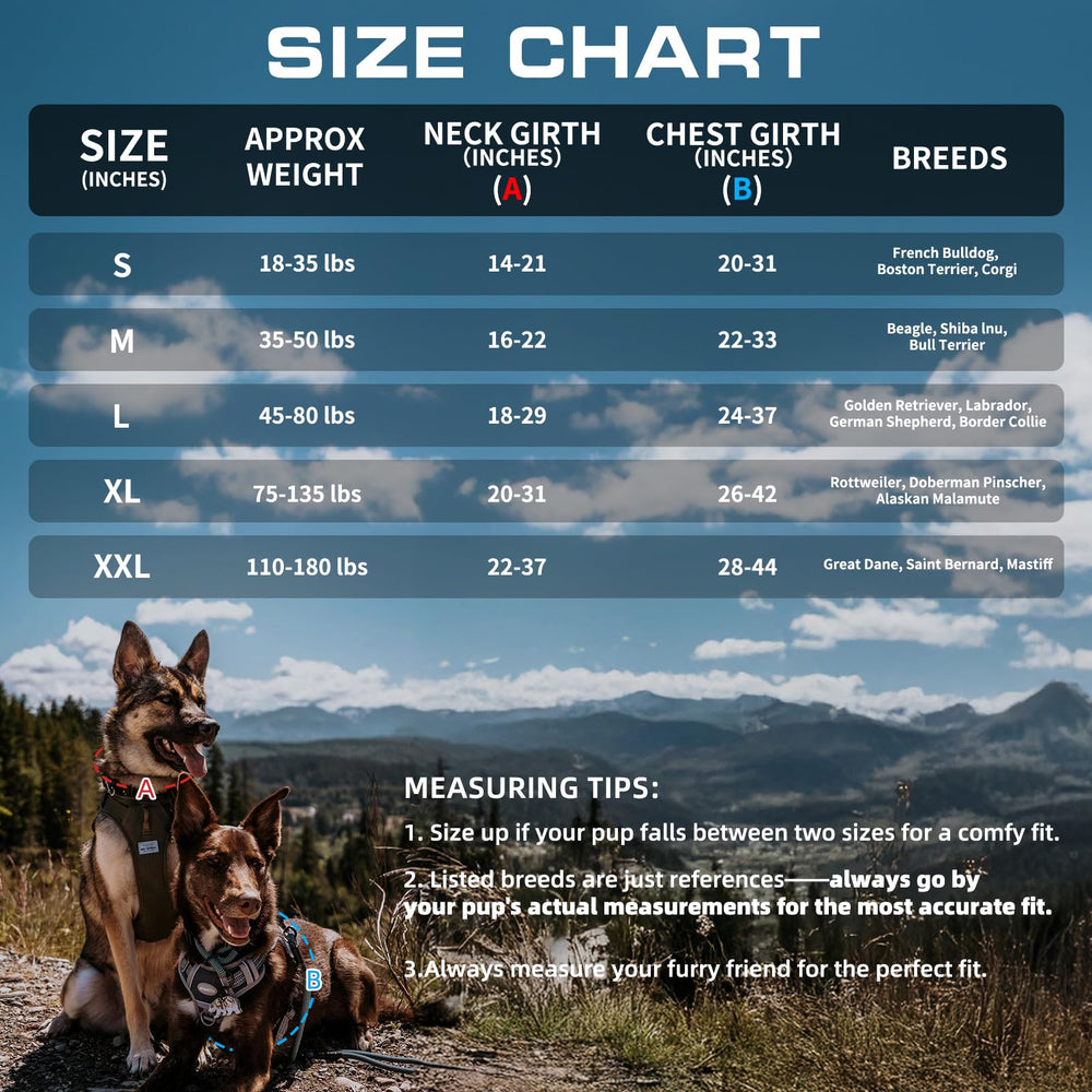 AUROTH chien en randonnée avec harnais robuste et stable