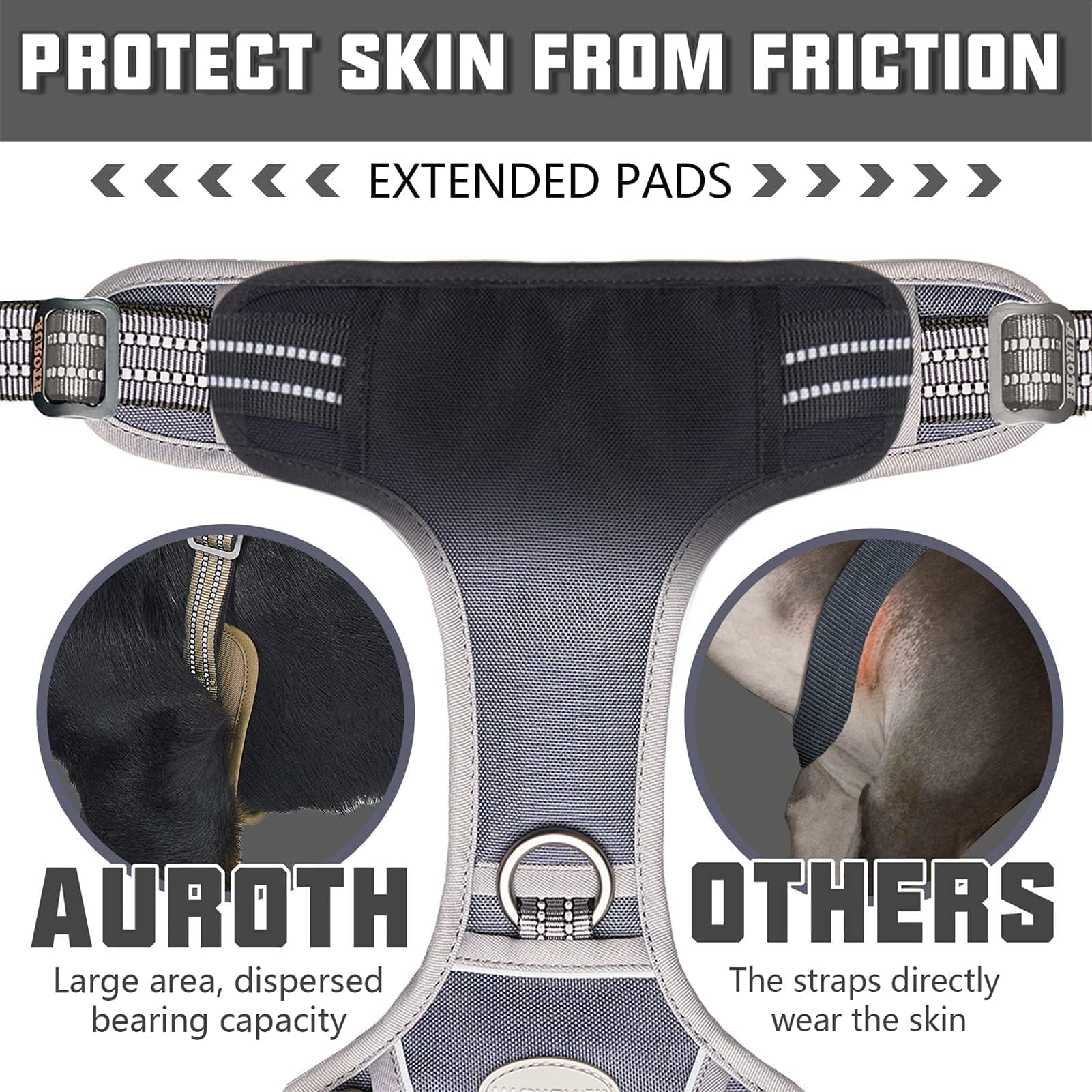 AUROTH anneaux métalliques solides pour une attache sûre