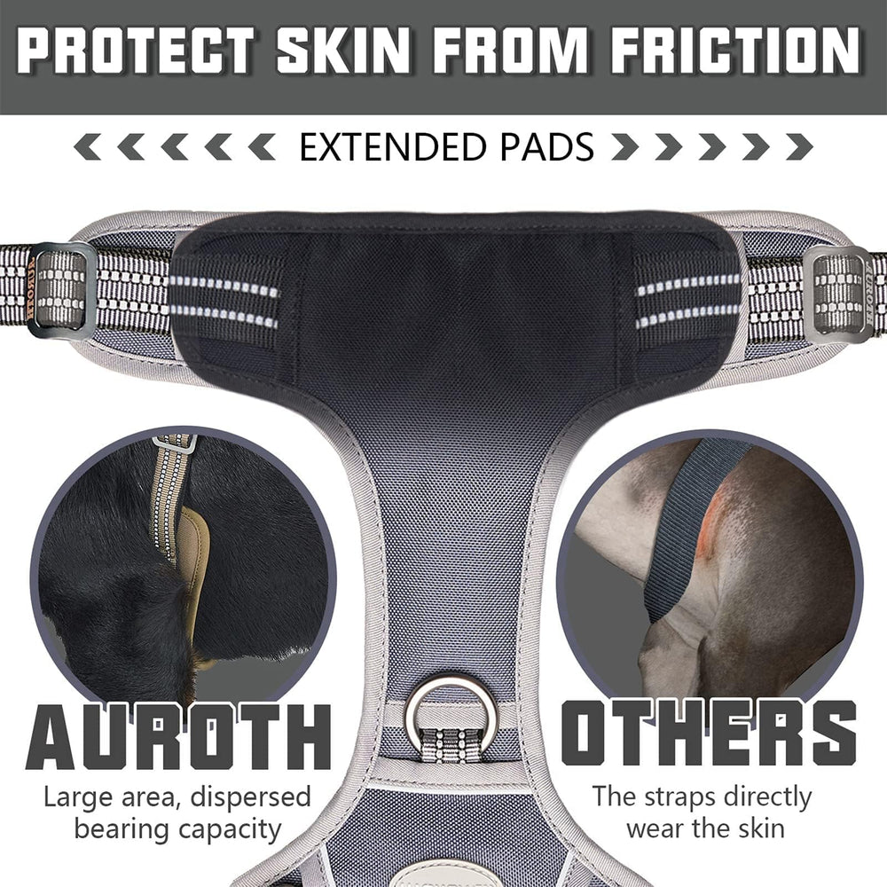 AUROTH anneaux métalliques solides pour une attache sûre
