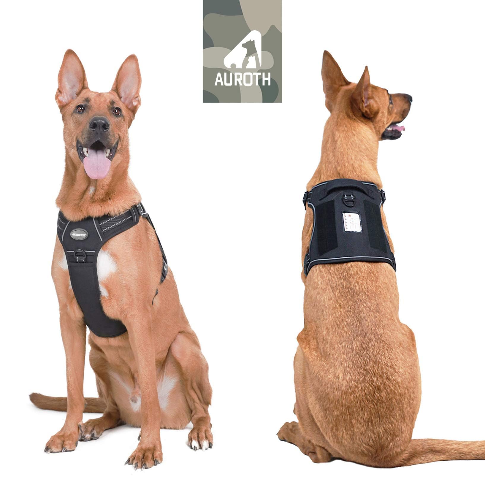 AUROTH badge BEST FRIEND personnalisable pour identification