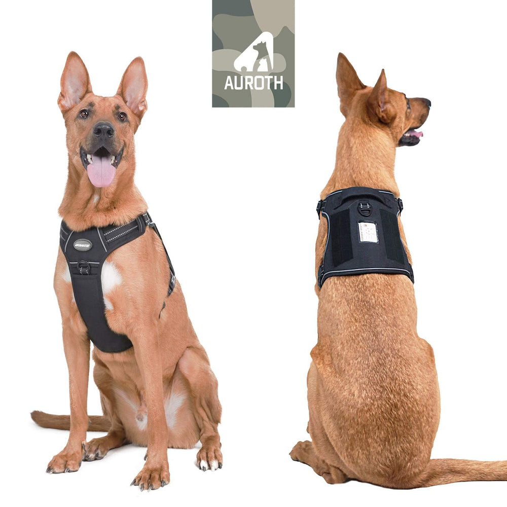 AUROTH badge BEST FRIEND personnalisable pour identification