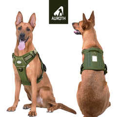 AUROTH gros plan rembourrage confortable, protection et ventilation