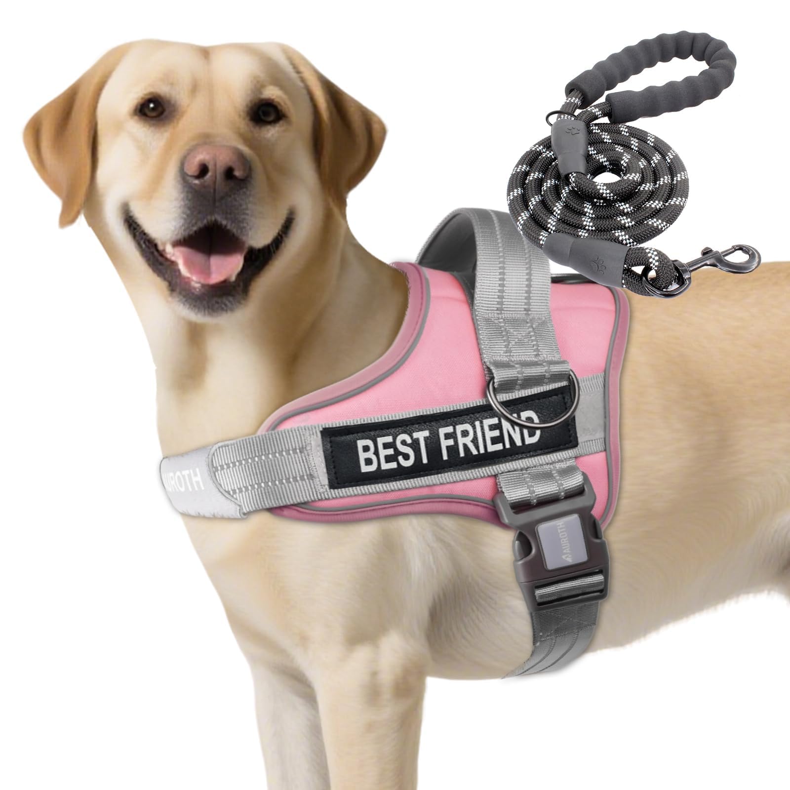 AUROTH comparaison de tailles montrant ajustements pour grands chiens
