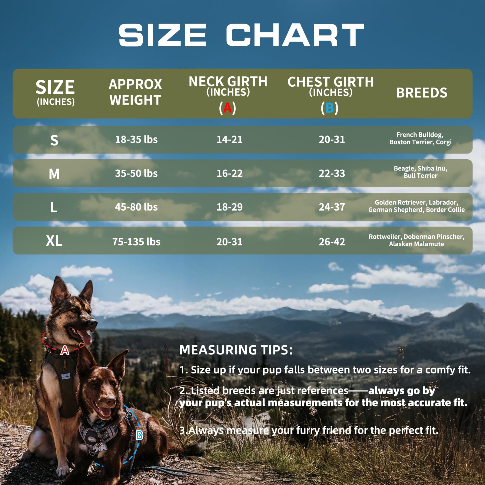 AUROTH comparaison taille sur mannequin, aide au choix de la taille