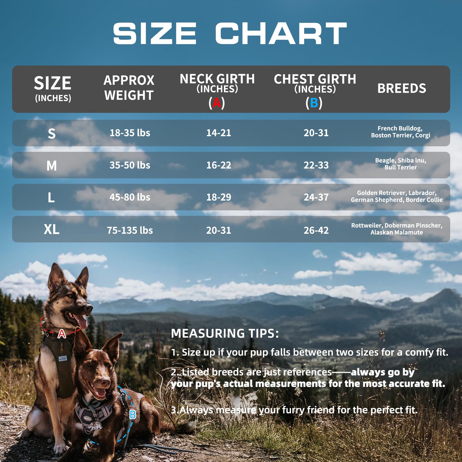 AUROTH comparaison taille montrant ajustement précis et guide