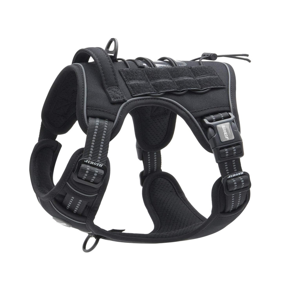 AUROTH harnais face avant montrant boucles rapides et ajustement confortable
