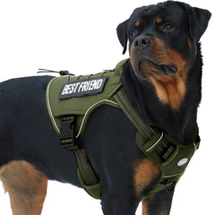 AUROTH harnais gilet avant sur chien, sécurité et contrôle accrus