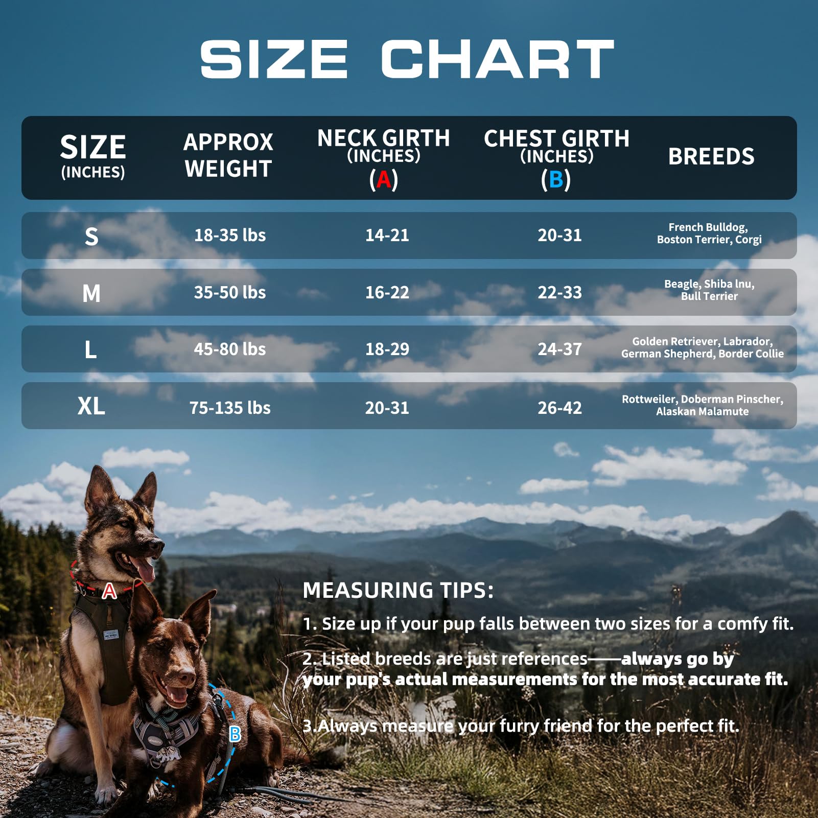 AUROTH guide de tailles pour choisir le harnais adapté au chien