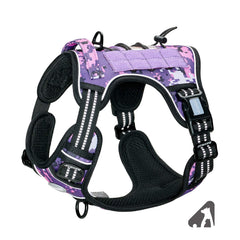 AUROTH harnais vue face montrant coupe et maintien pour promenades confortables