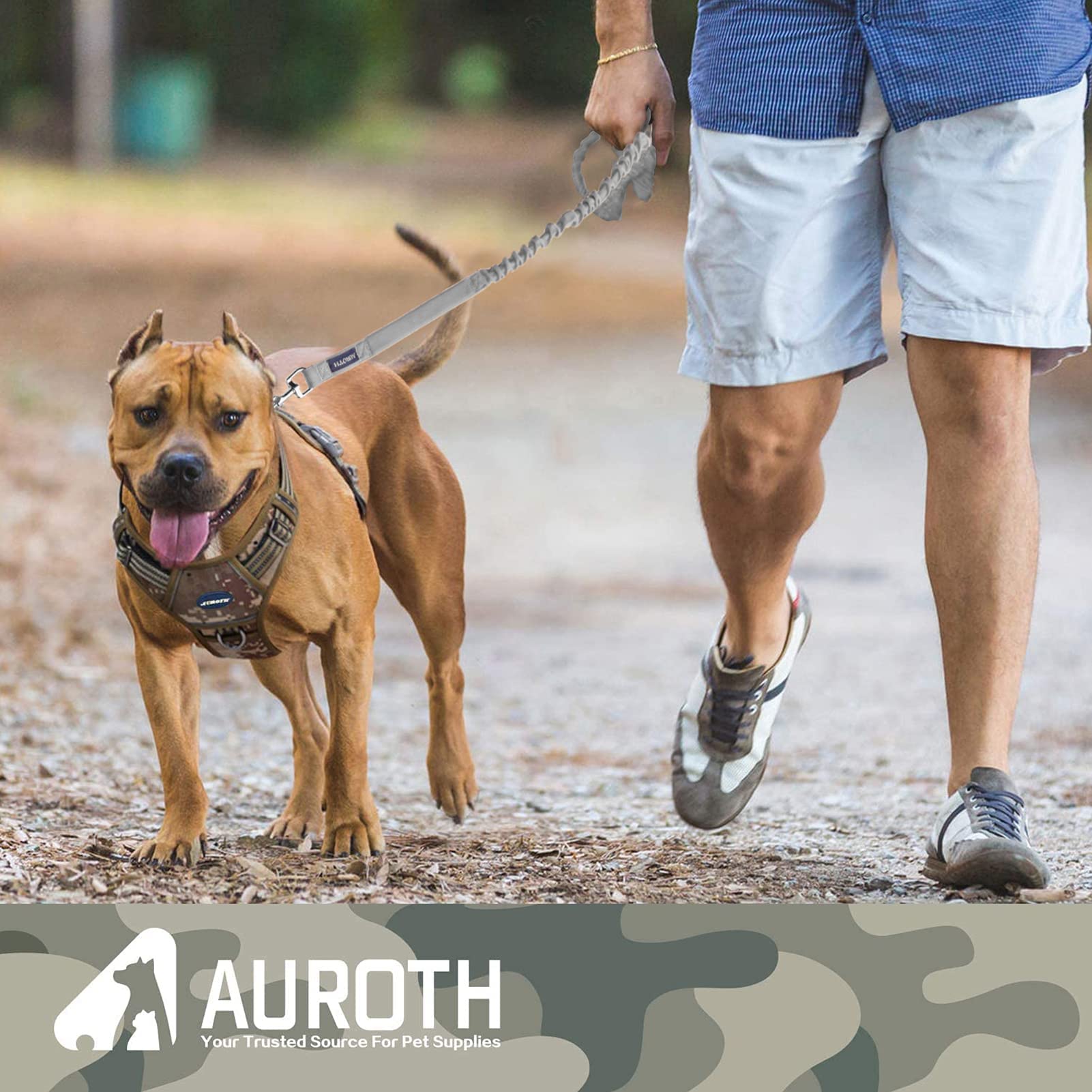 AUROTH laisse fixée à ceinture voiture indiquant compatibilité voyage sûre