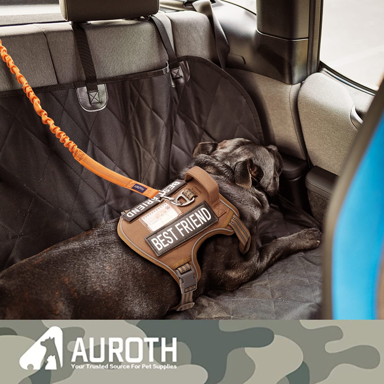 AUROTH laisse utilisée avec chien en ville pour promenades sûres