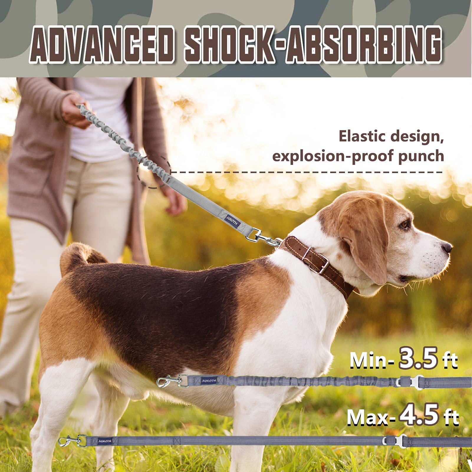 AUROTH laisse zoom sur section bungee montrant absorption des chocs