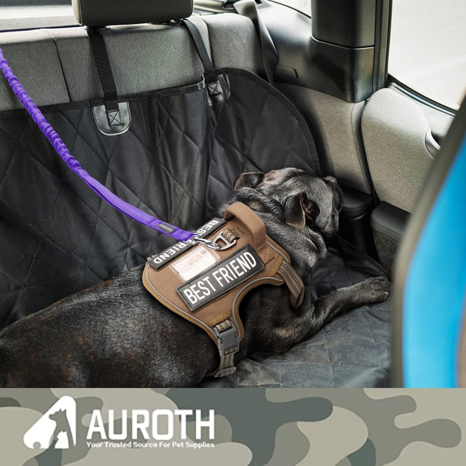 AUROTH elasticite bungee gros plan absorbant les chocs pour confort du chien
