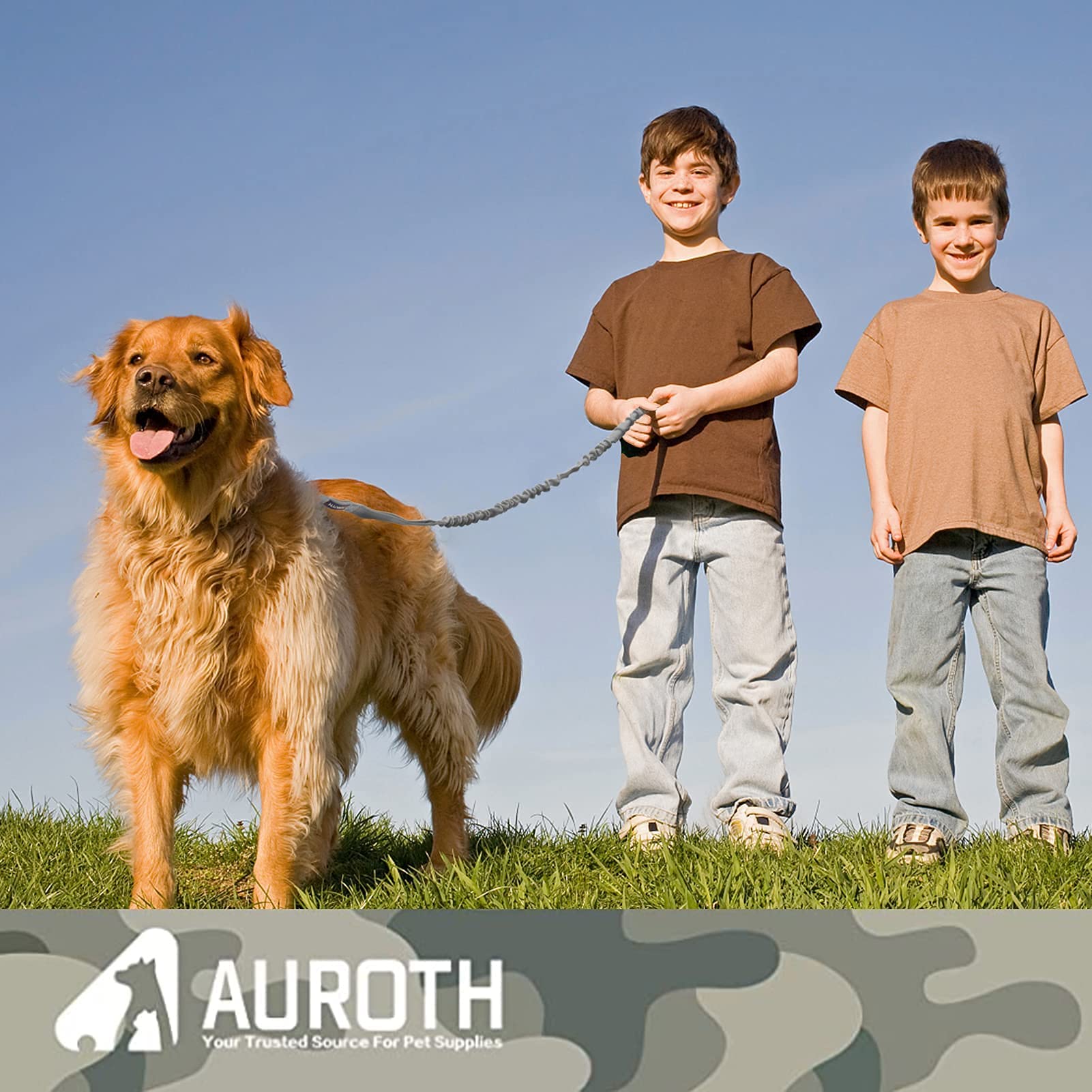 AUROTH laisse utilisée lors d'un jogging illustrant liberté et contrôle
