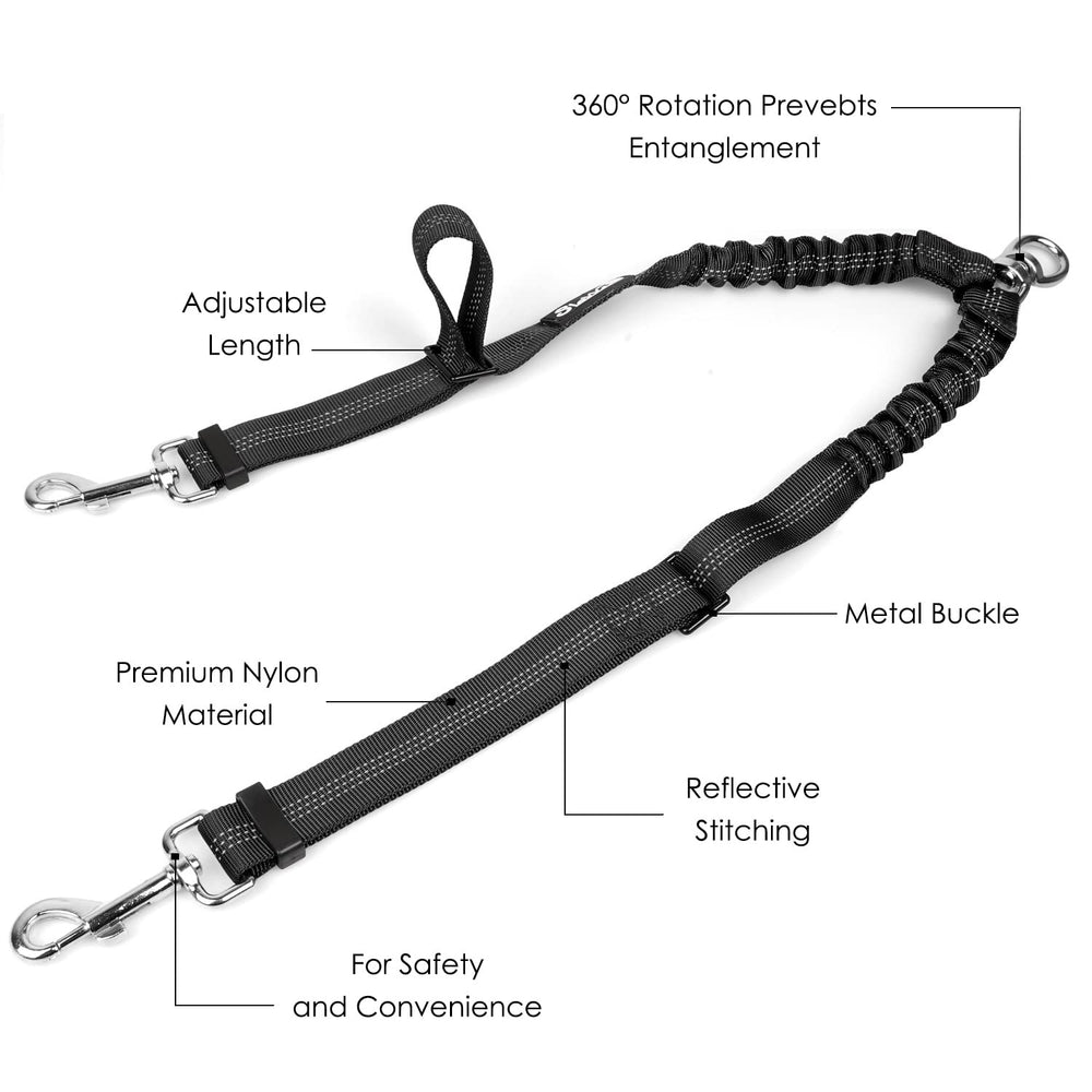 AUTOWT comparaison d’échelle montrant taille adaptée pour chiens moyens et grands