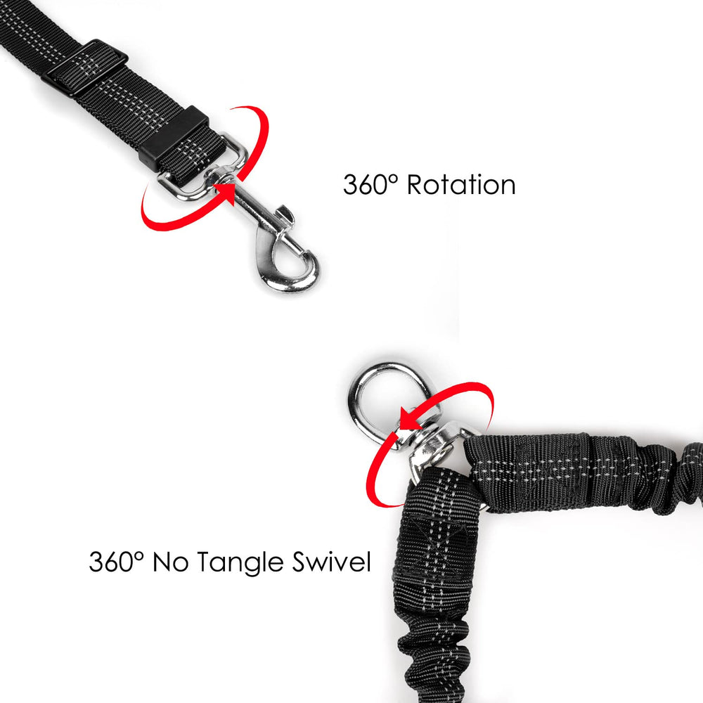 AUTOWT promenade de deux chiens illustrant usage mains-libres pratique