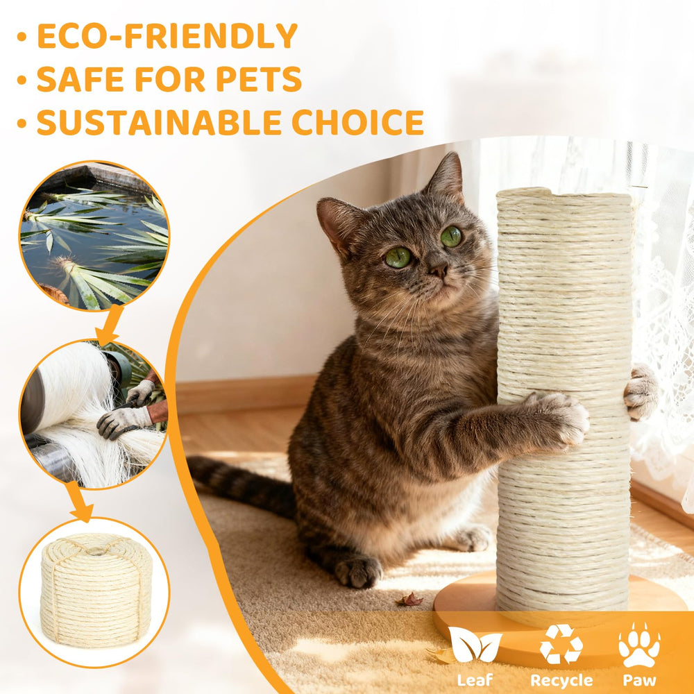 Chat utilisant poteau recouvert de corde AUXMOTEC pour protéger meubles efficacement