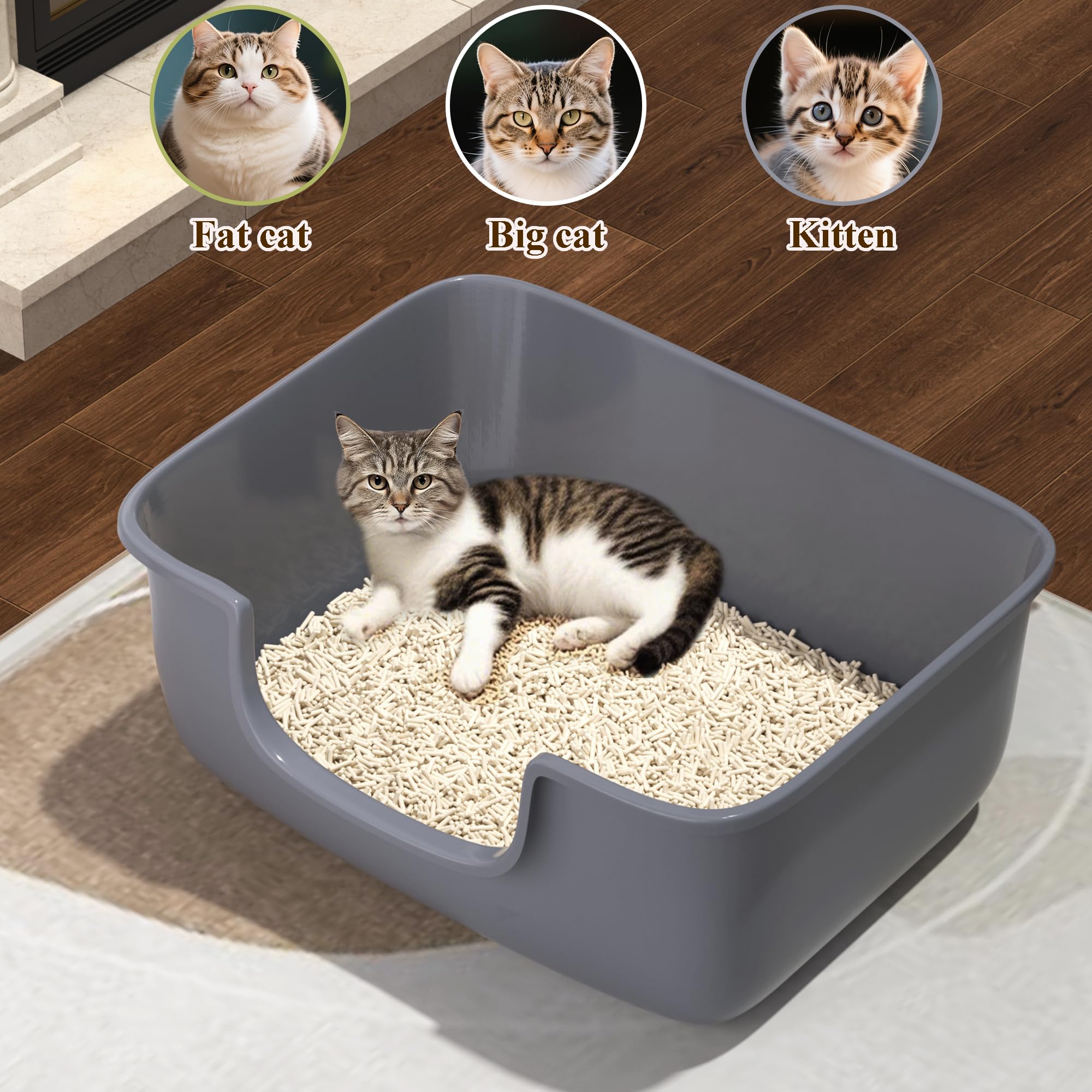 AVIUIA bac à litière chat en usage démontrant espace libre pour mouvement tranquillité