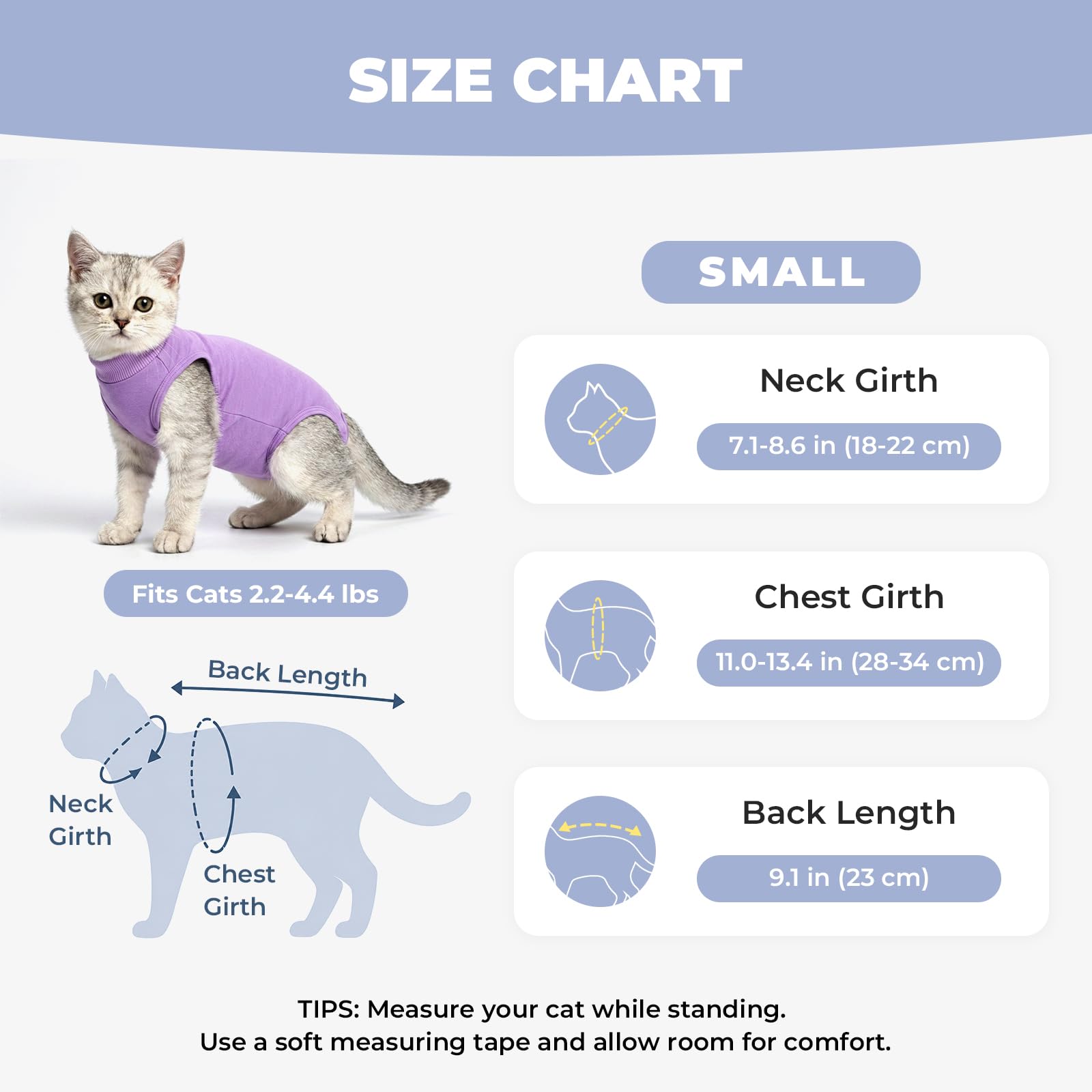 Avont comparaison taille sur une règle illustrant dimensions exactes
