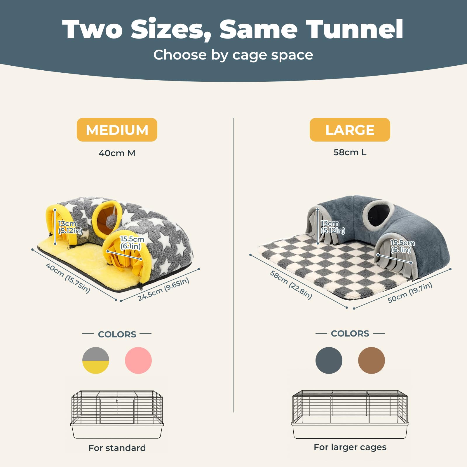 Avont tunnel avec cochon d'inde explorant et jouant heureux