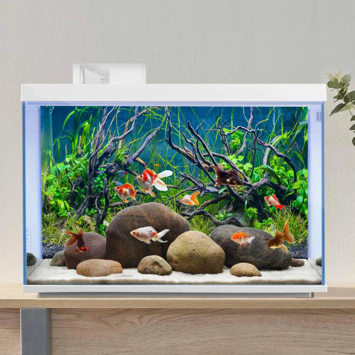 AWERT comparaison d'échelle montrant dimensions 48x24 pouces pour ajustement facile