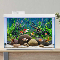 AWERT comparaison d'échelle montrant dimensions 48x24 pouces pour ajustement facile