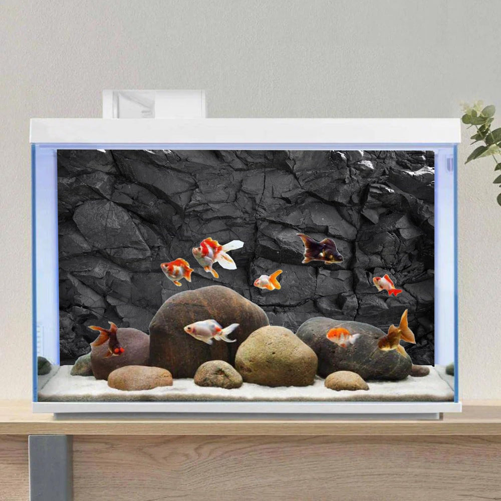 AWERT comparaison taille avec rubans EVA illustre installation simple