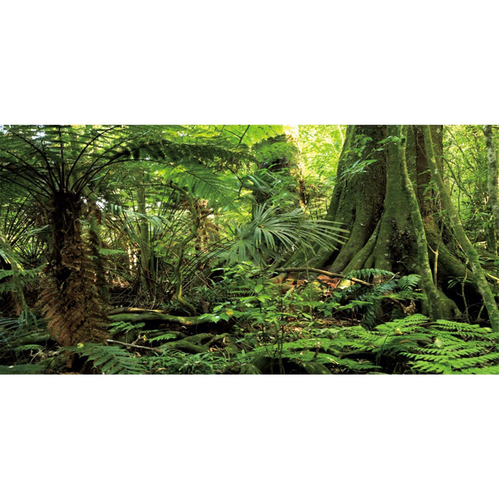 AWERT fond forêt vue avant, améliore l'esthétique de l'aquarium