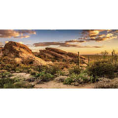 AWERT fond oasis cactus face avant montrant couleurs vives et profondeur