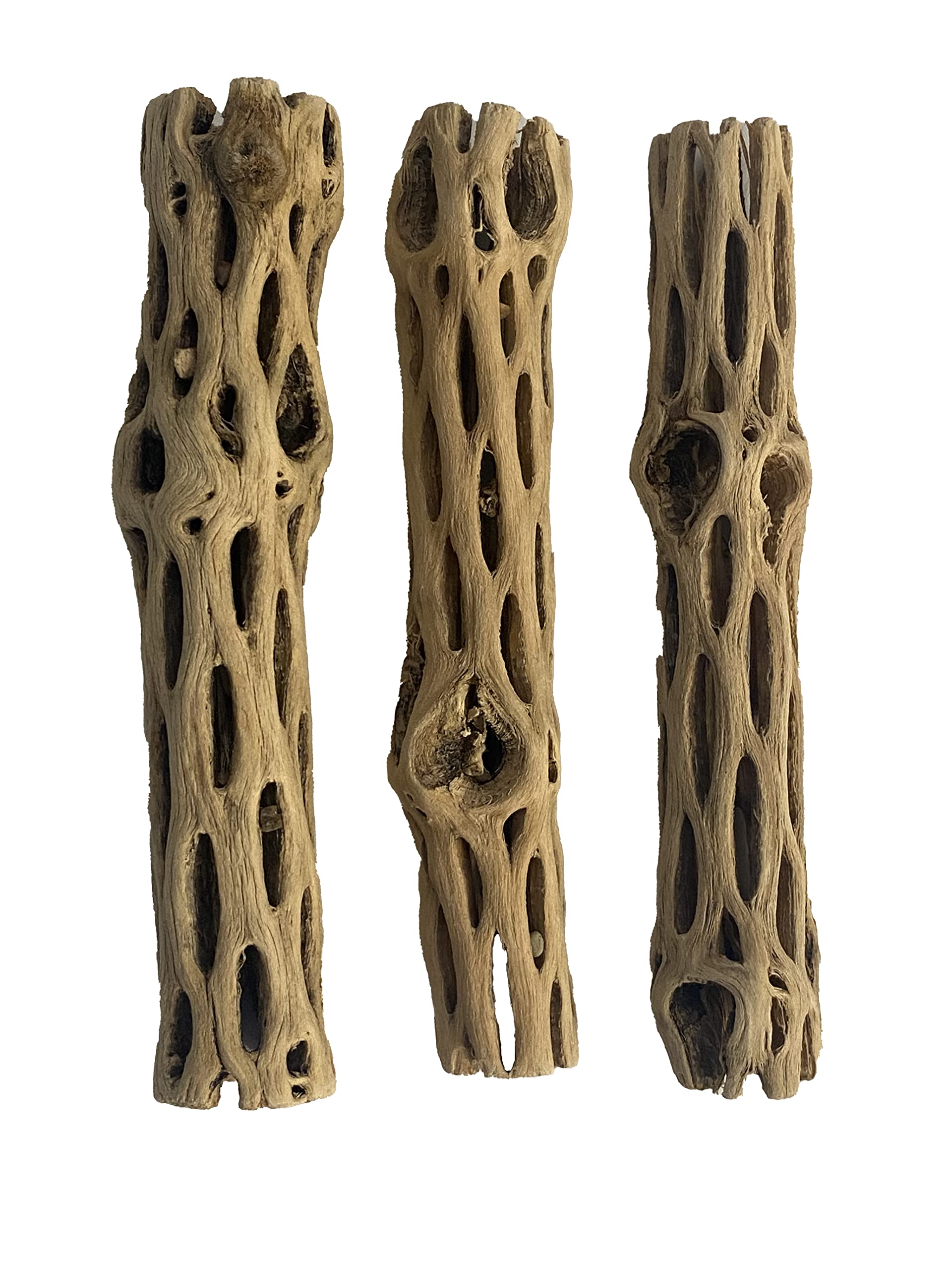 Awesome Aquatic tube face emballage montrant trois pièces, pratique pour cachettes