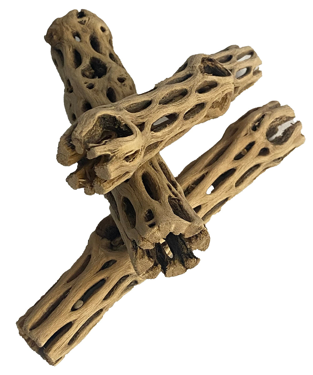 Awesome Aquatic gros plan texture montrant surface poreuse et support biofilm