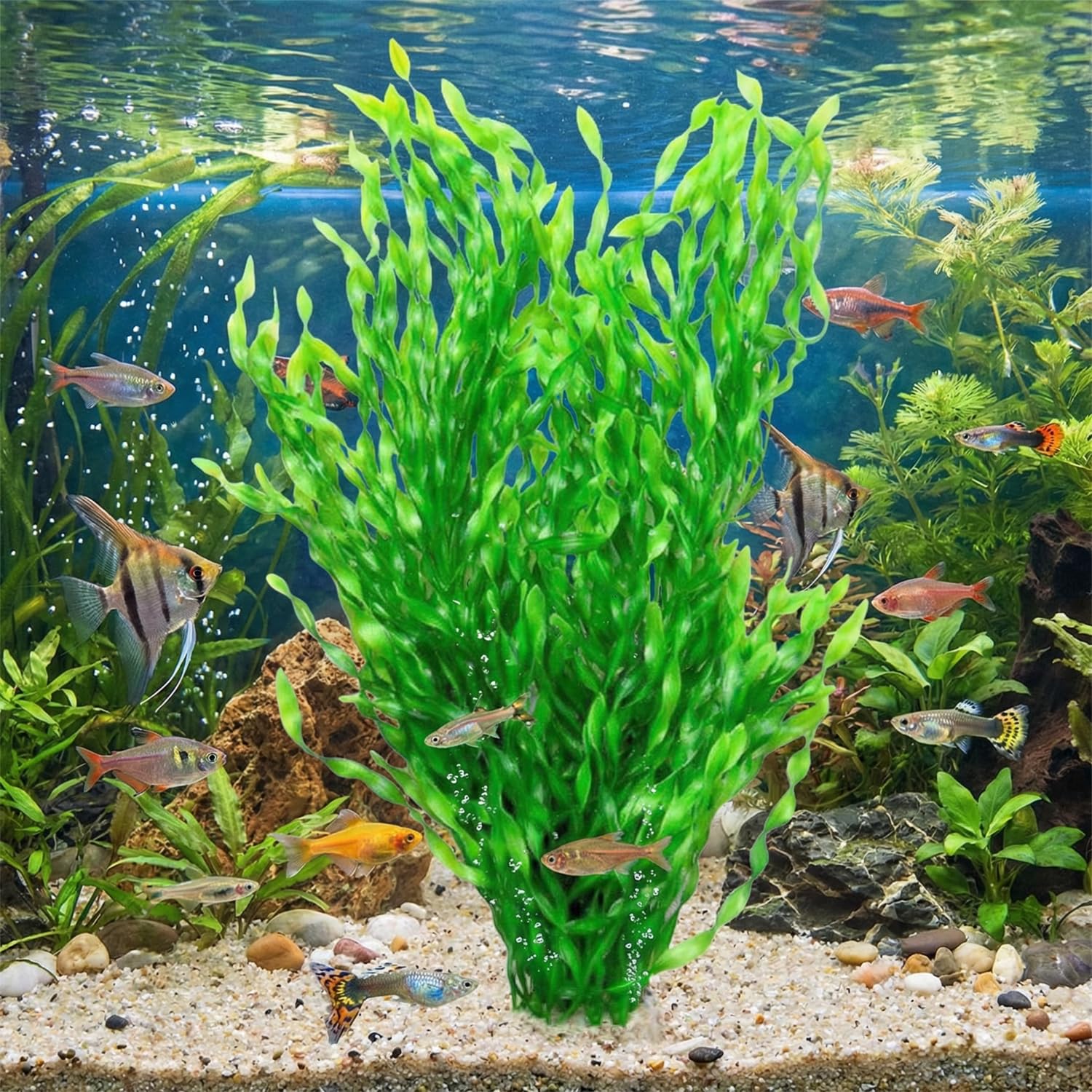 Awlstar plante installée en aquarium embellit décor et cachète poissons