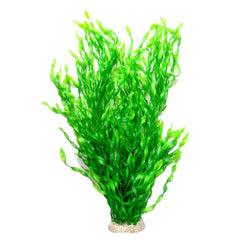 Awlstar vue avant plante 56 cm apportant cachette et verticalité