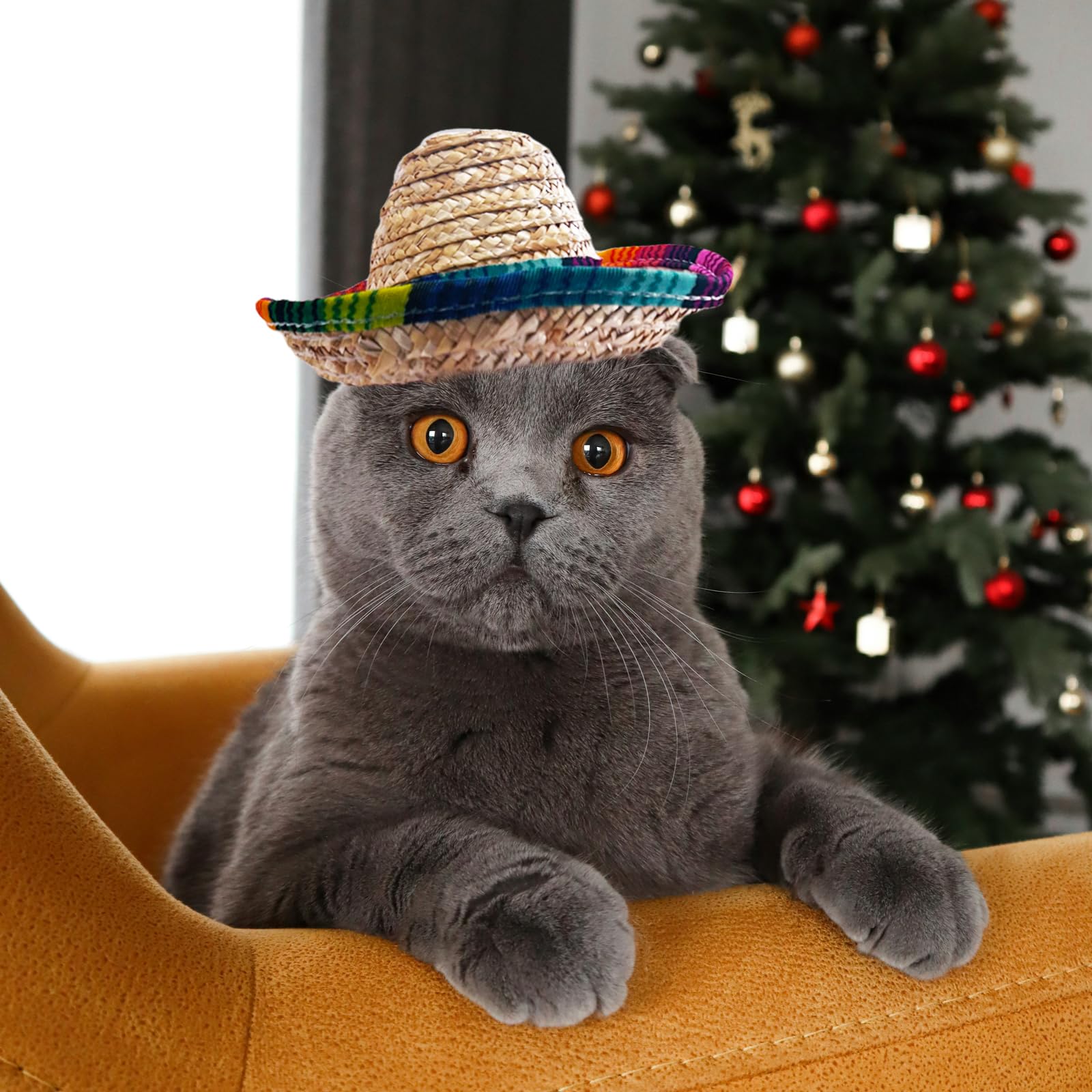 AWOCAN comparaison taille du sombrero pour petits animaux utile